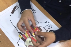 46319915_732878760404225_7714365492500103168_n